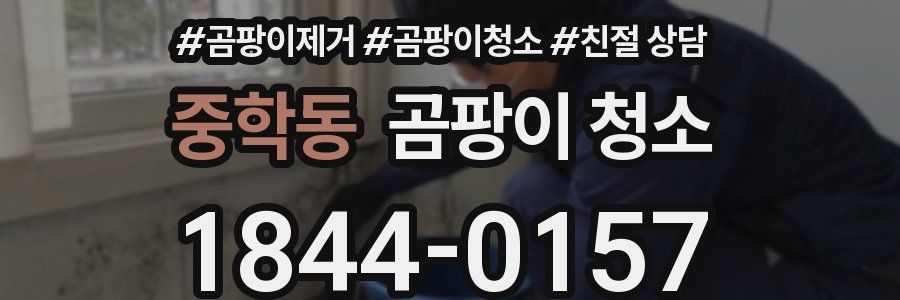 중학동 곰팡이 청소