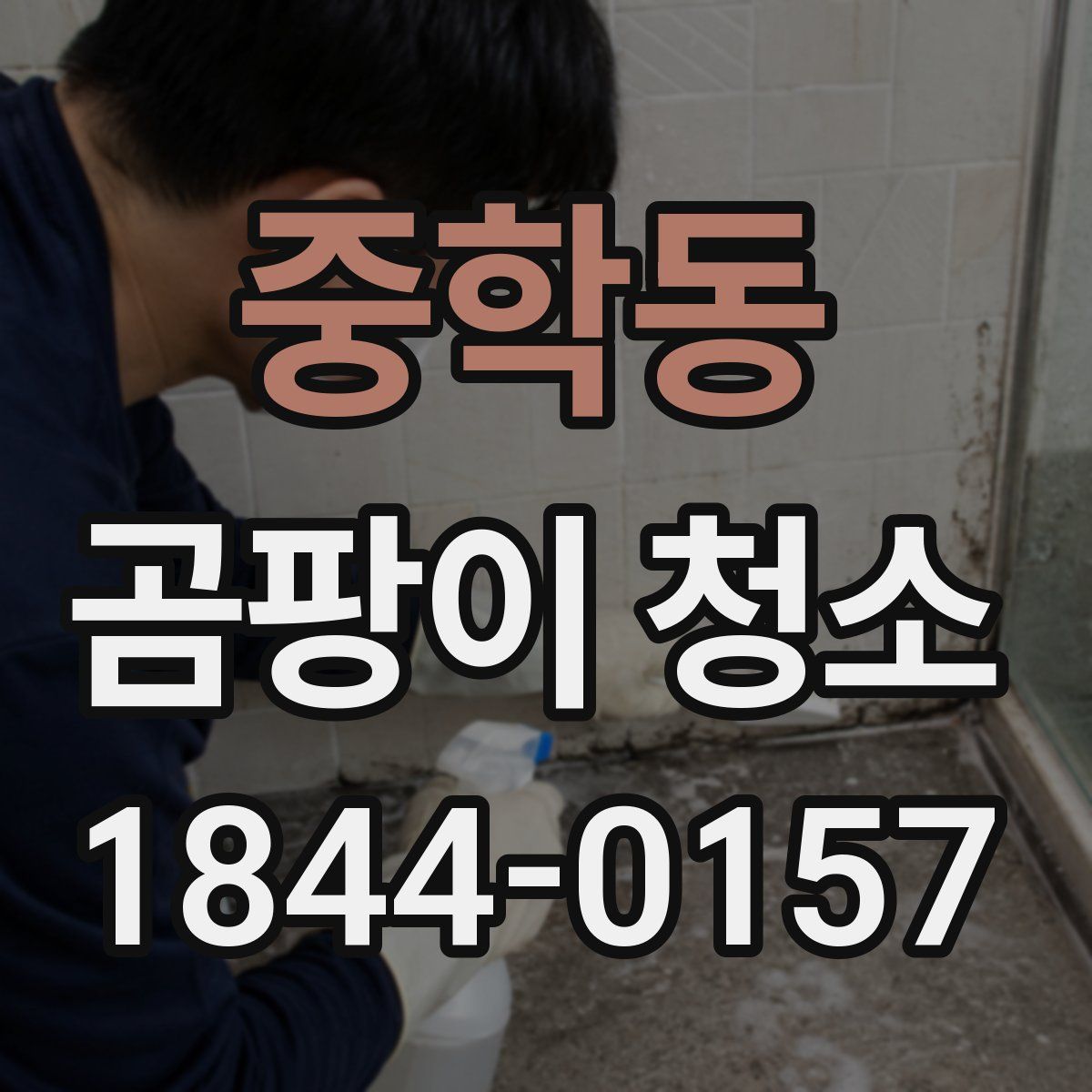 중학동 곰팡이 청소