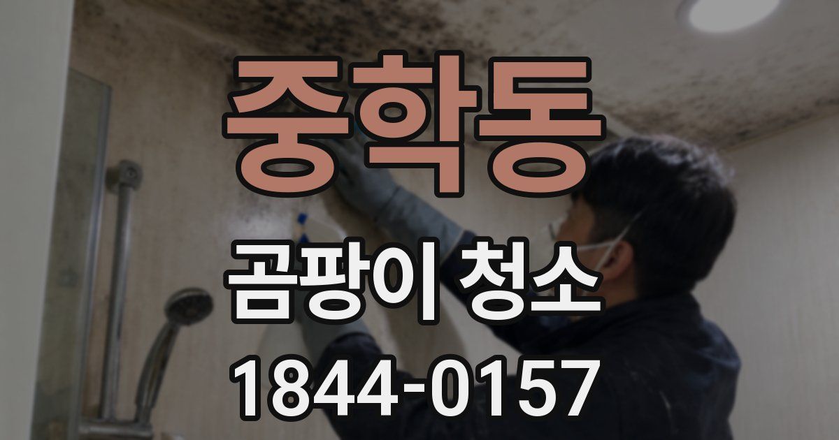 중학동 곰팡이 청소