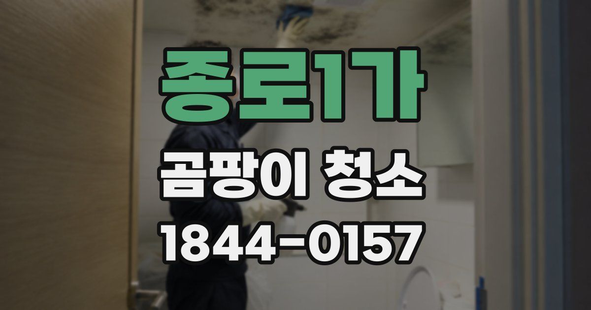 종로1가 곰팡이 청소