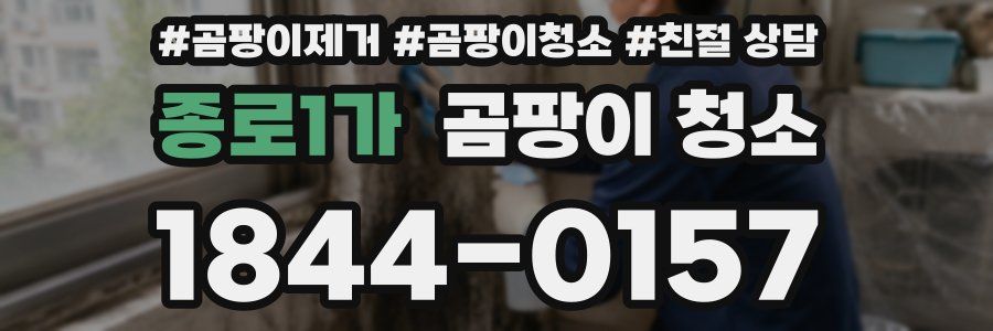 종로1가 곰팡이 청소