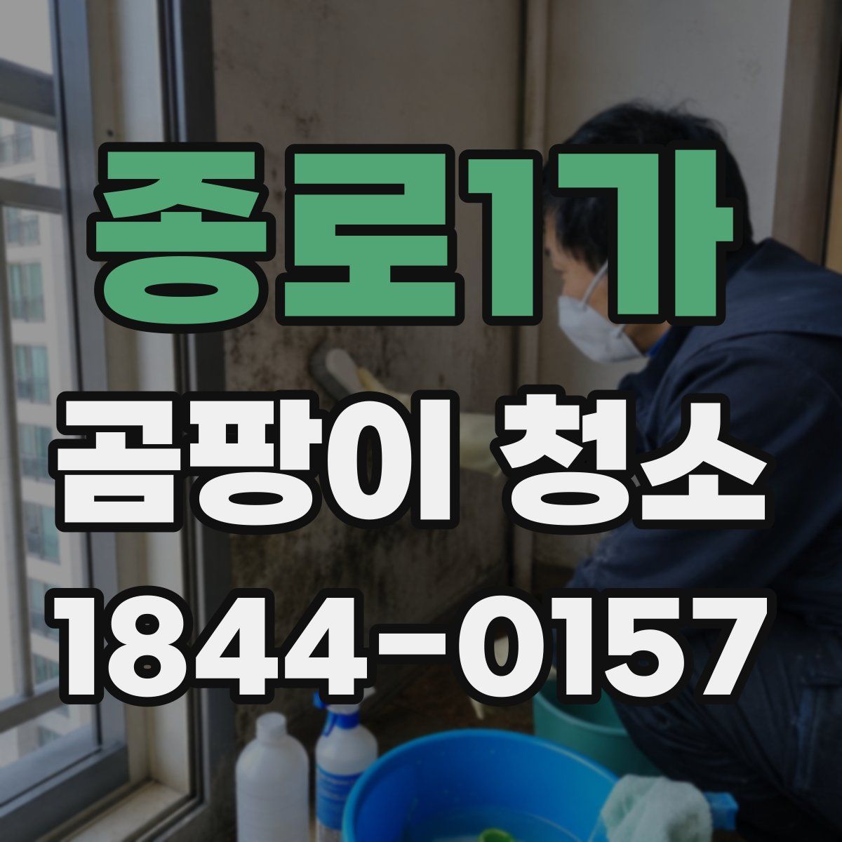 종로1가 곰팡이 청소