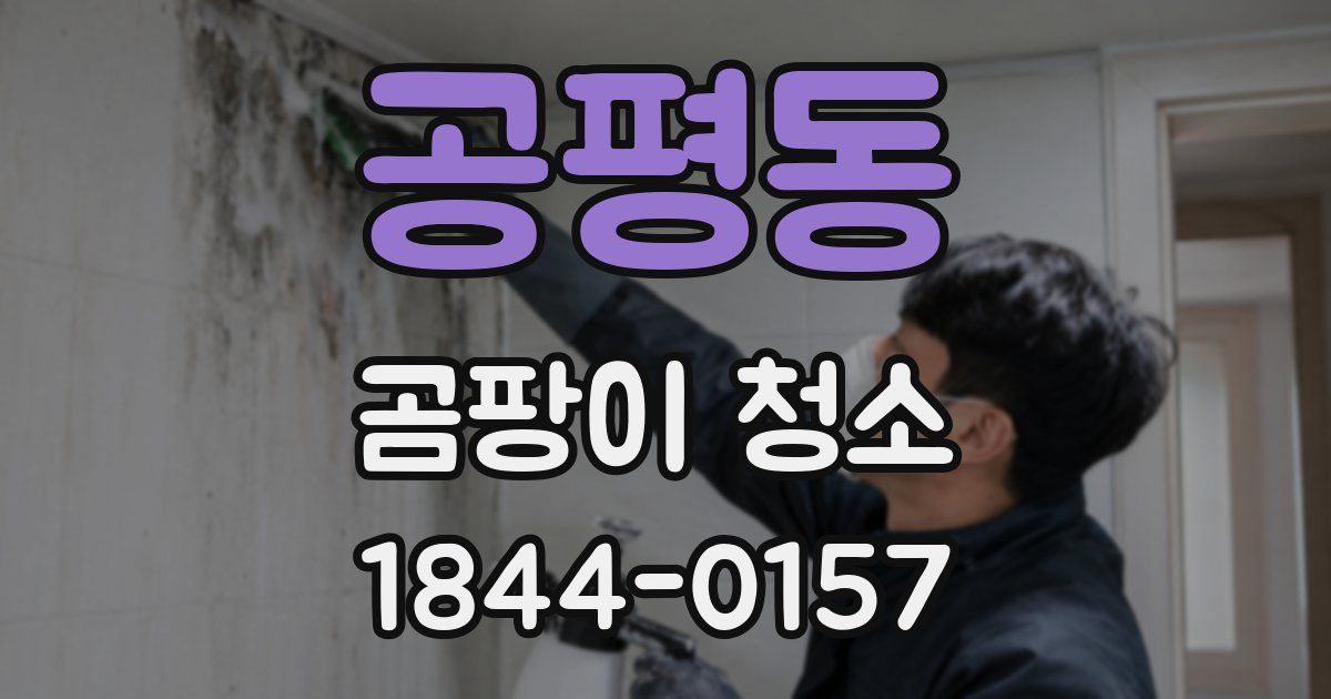 공평동 곰팡이 청소