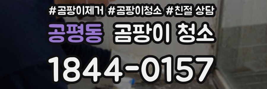 공평동 곰팡이 청소