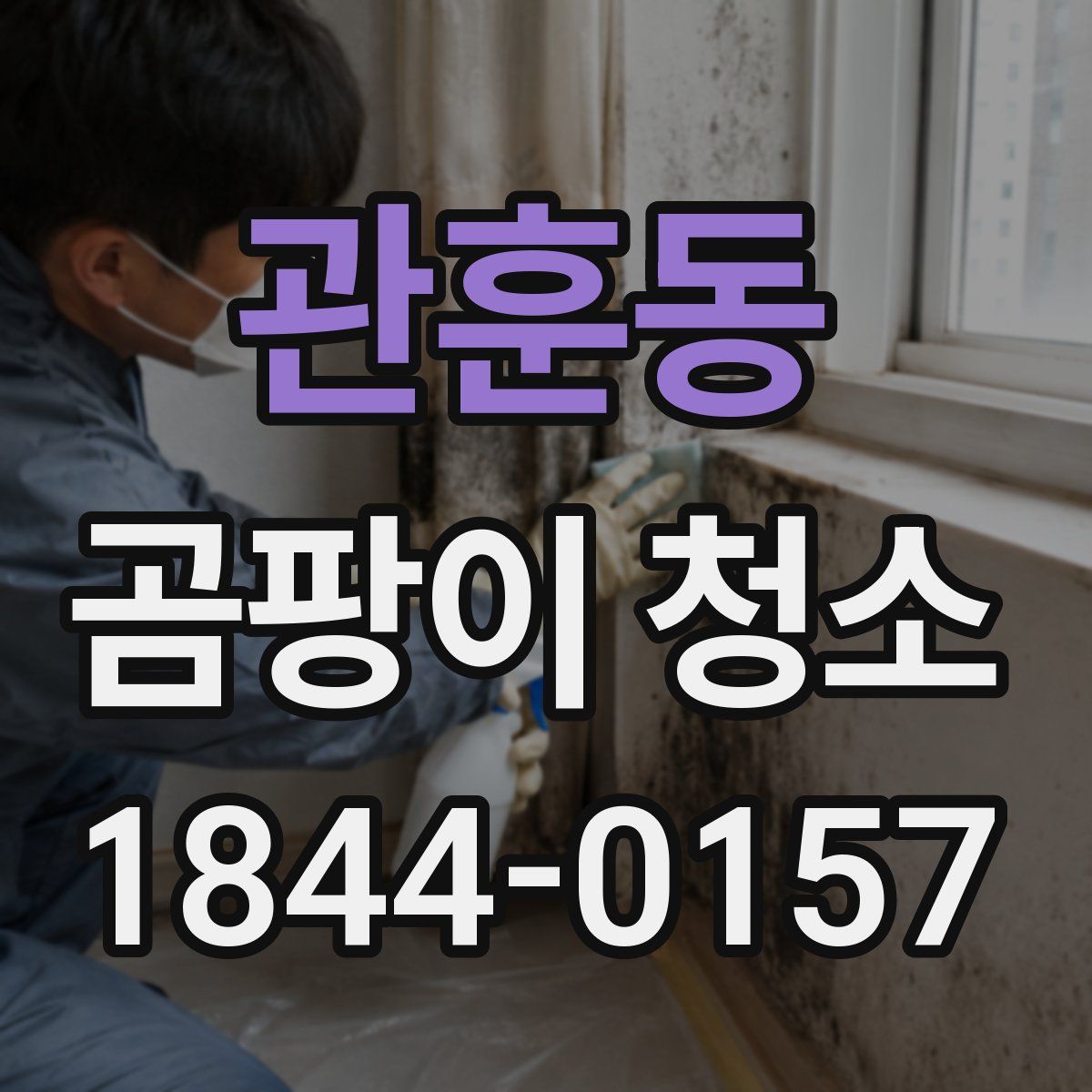 관훈동 곰팡이 청소