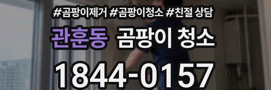 관훈동 곰팡이 청소