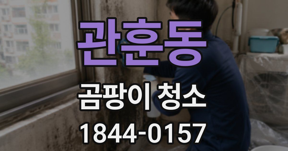 관훈동 곰팡이 청소
