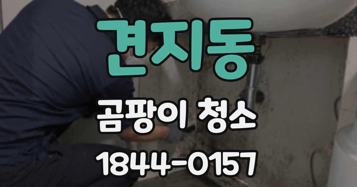 견지동 곰팡이 청소