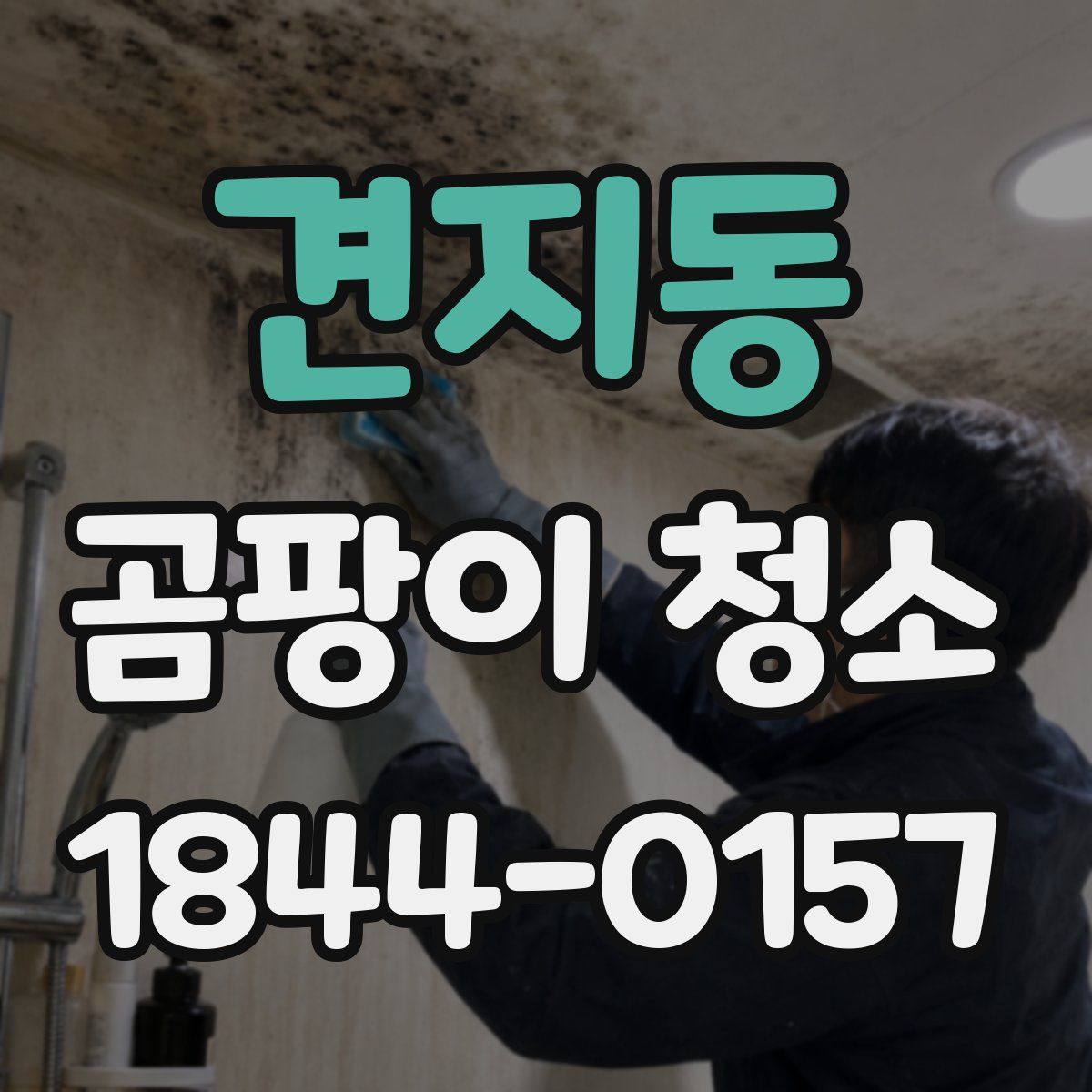 견지동 곰팡이 청소
