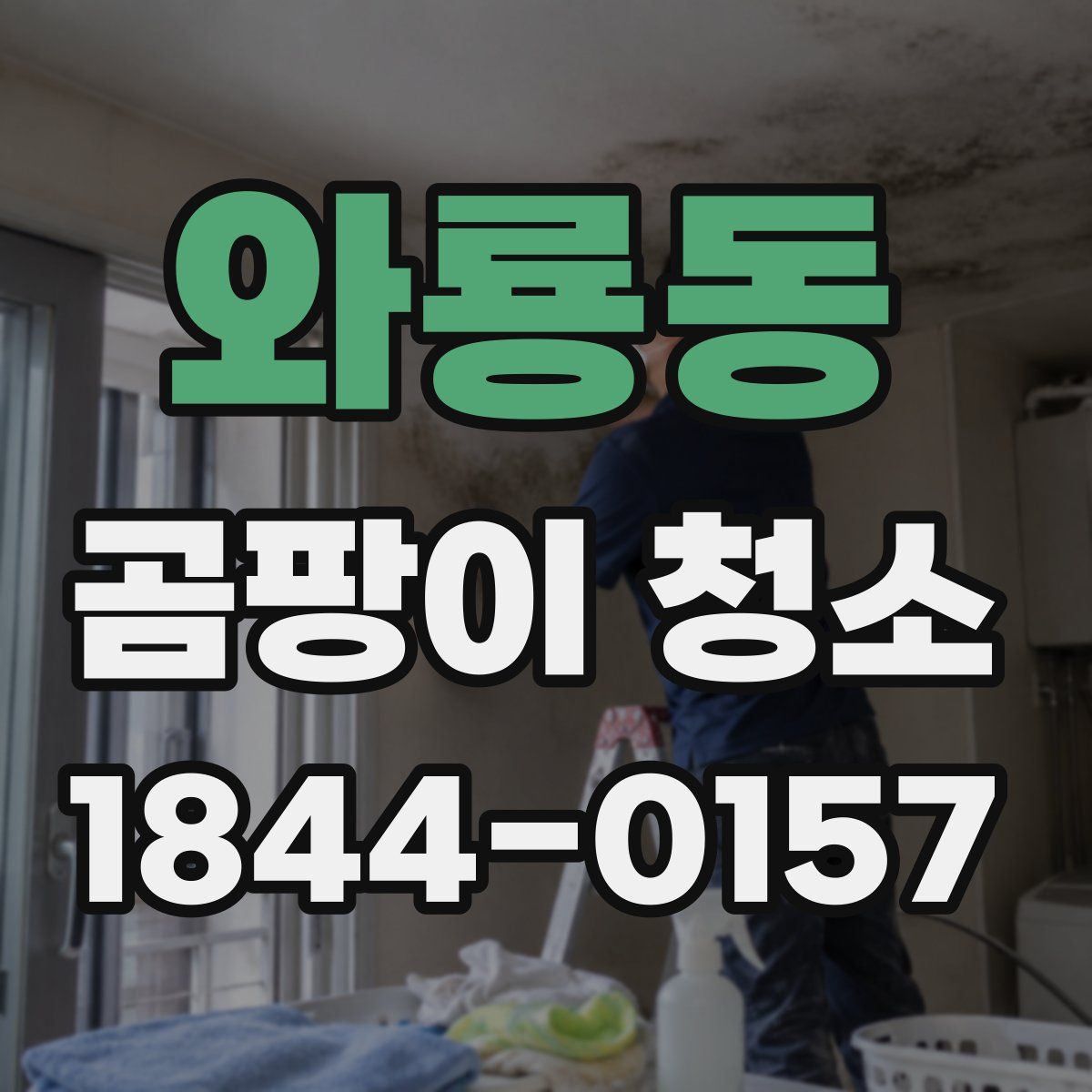 와룡동 곰팡이 청소
