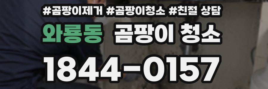 와룡동 곰팡이 청소