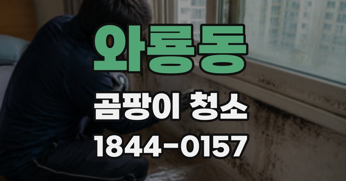 와룡동 곰팡이 청소