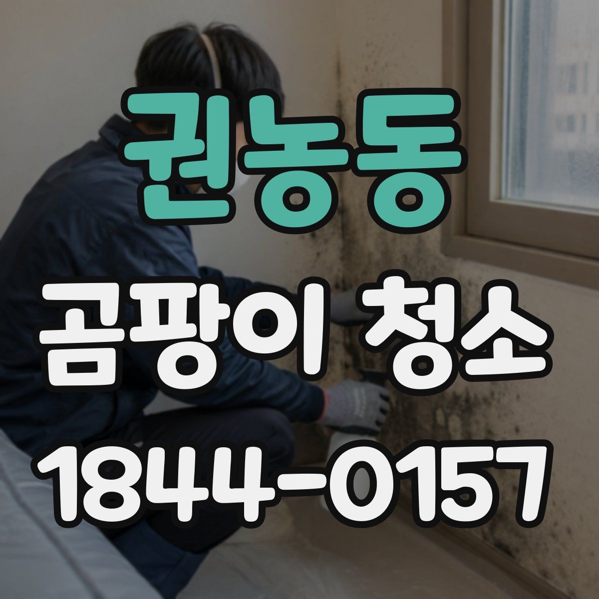 권농동 곰팡이 청소