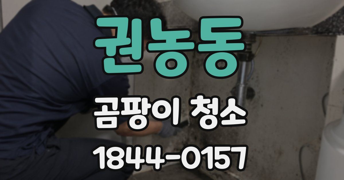 권농동 곰팡이 청소