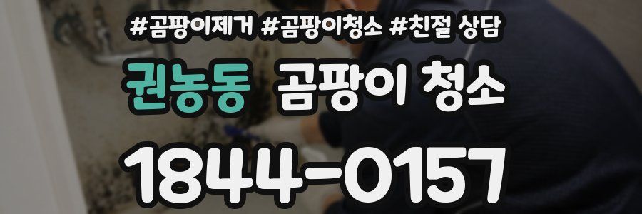 권농동 곰팡이 청소