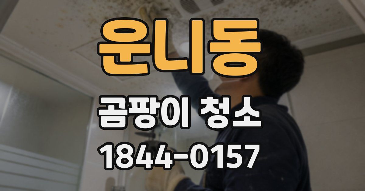 운니동 곰팡이 청소