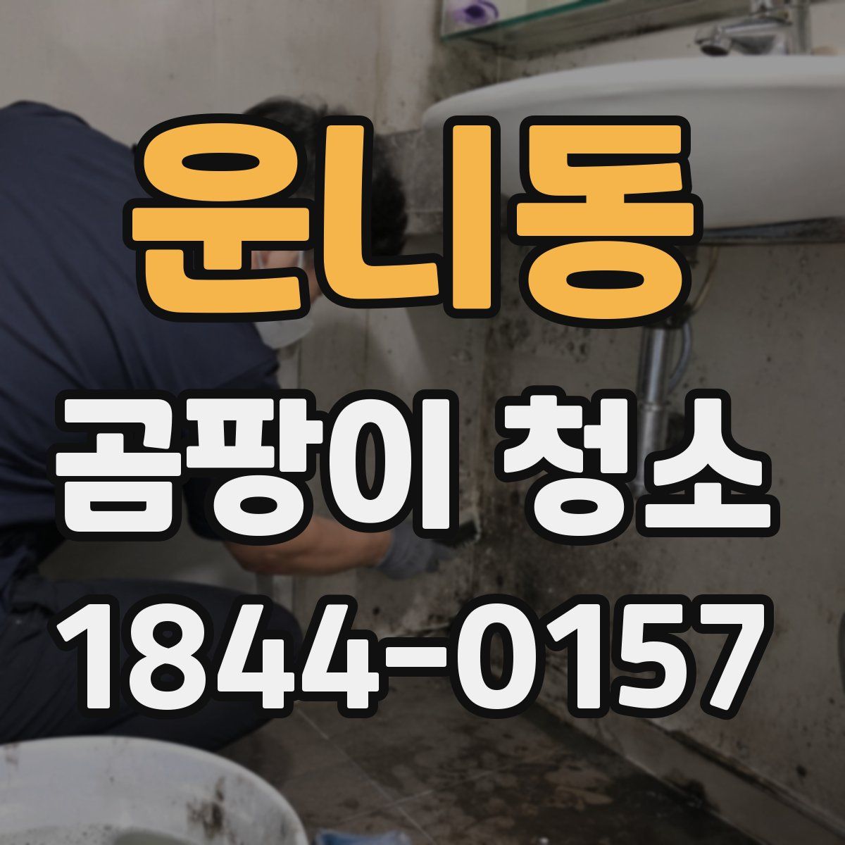 운니동 곰팡이 청소