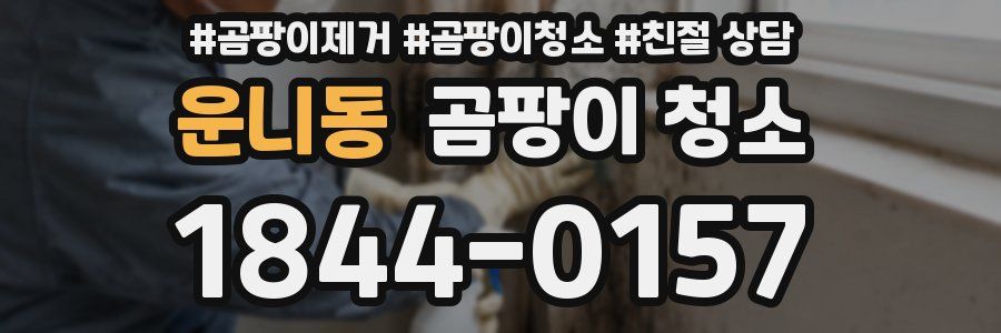 운니동 곰팡이 청소