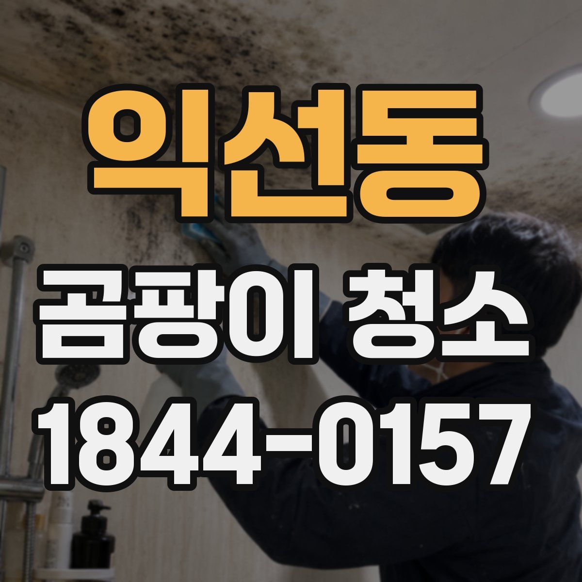 익선동 곰팡이 청소