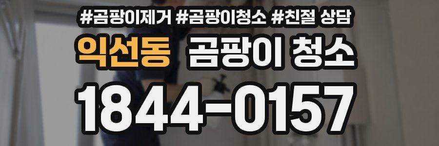 익선동 곰팡이 청소