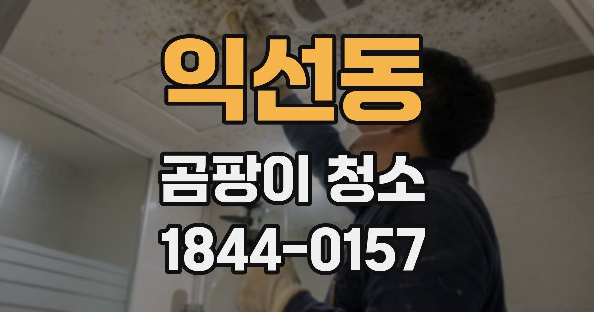 익선동 곰팡이 청소