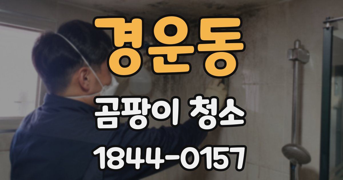 경운동 곰팡이 청소