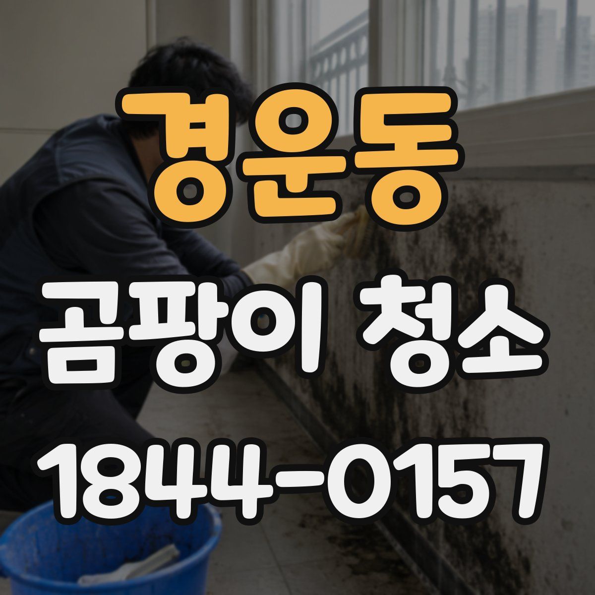 경운동 곰팡이 청소