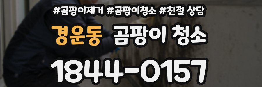경운동 곰팡이 청소