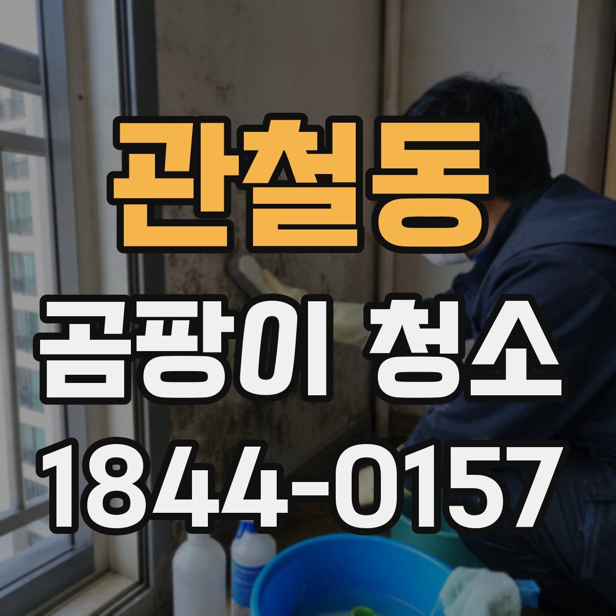 관철동 곰팡이 청소