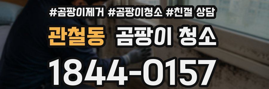 관철동 곰팡이 청소