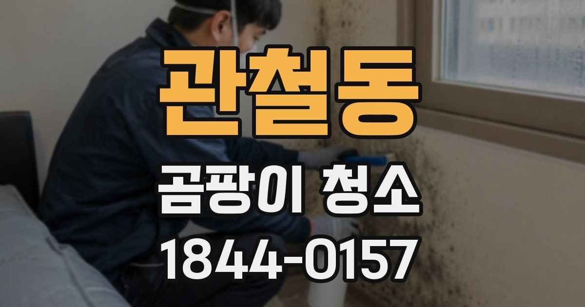 관철동 곰팡이 청소