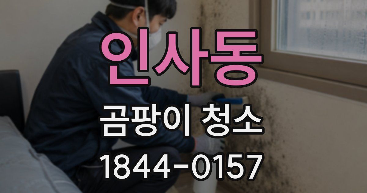 인사동 곰팡이 청소