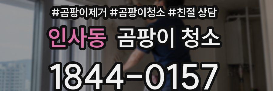 인사동 곰팡이 청소