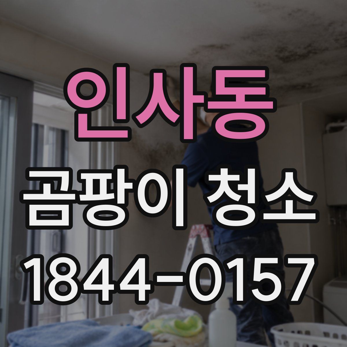 인사동 곰팡이 청소