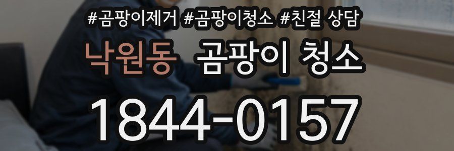 낙원동 곰팡이 청소