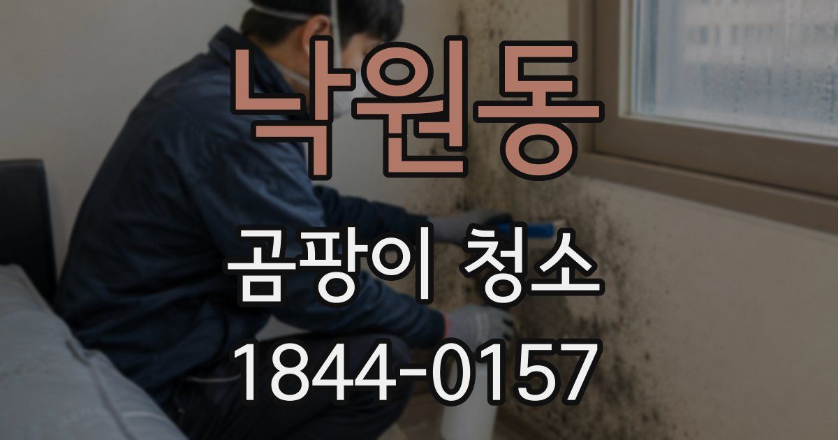낙원동 곰팡이 청소