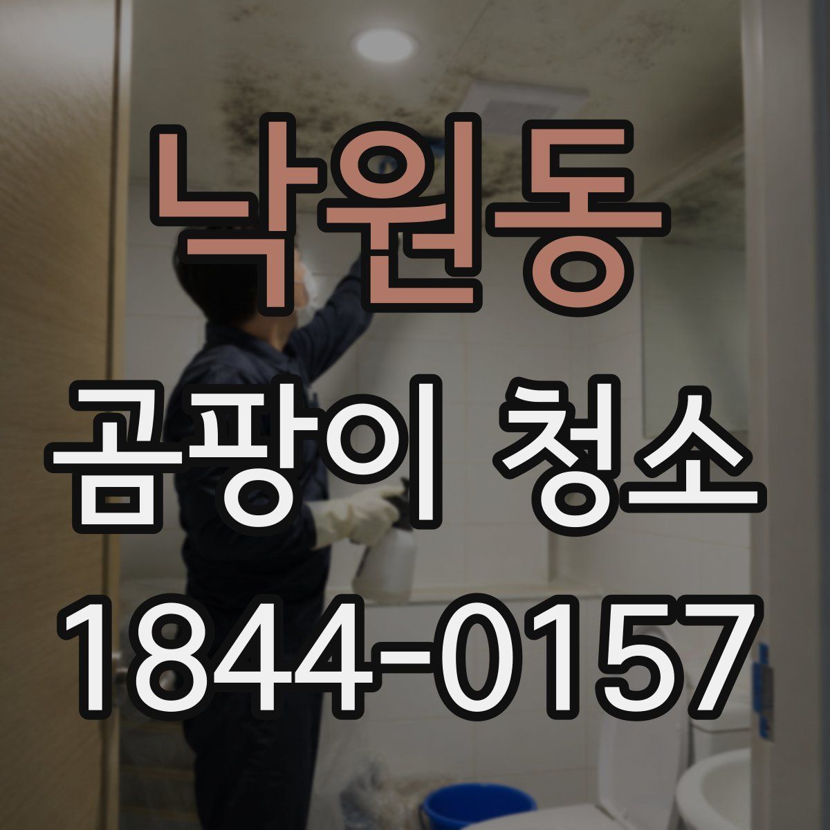 낙원동 곰팡이 청소