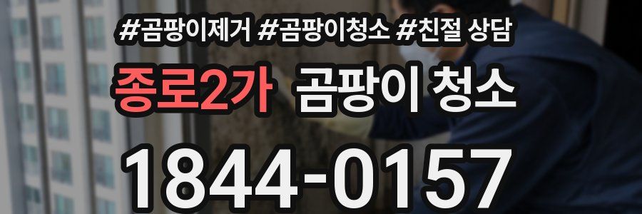 종로2가 곰팡이 청소