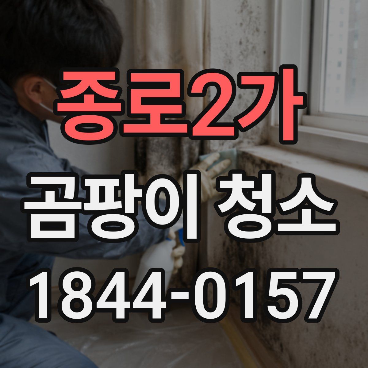 종로2가 곰팡이 청소