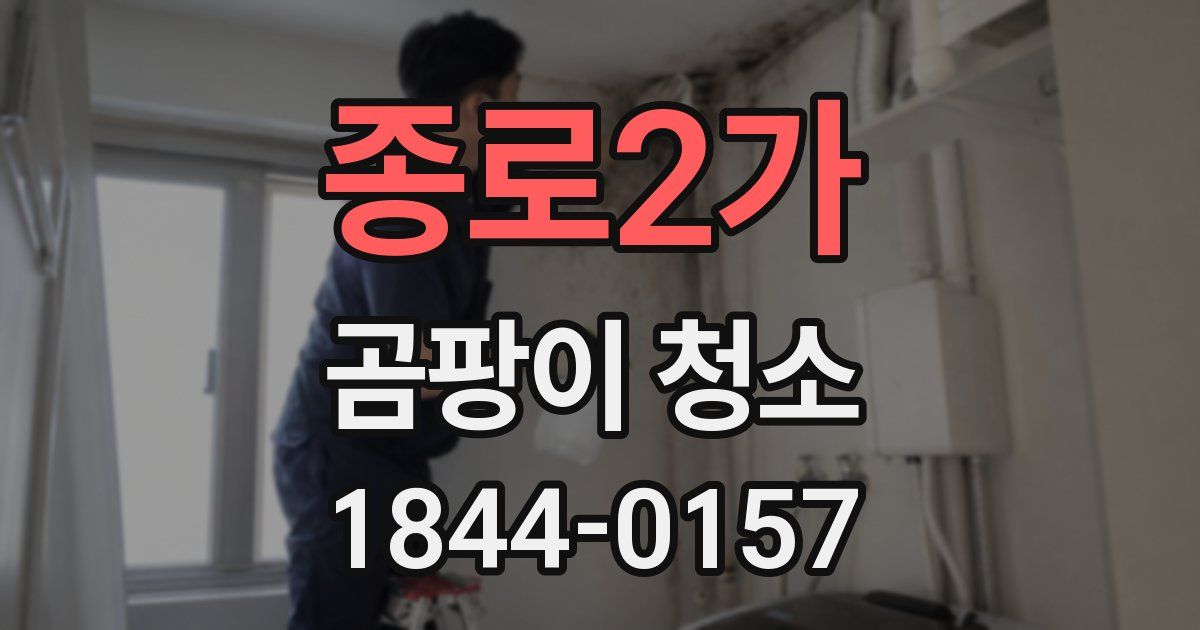 종로2가 곰팡이 청소