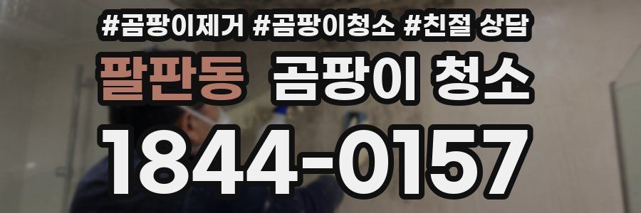 팔판동 곰팡이 청소