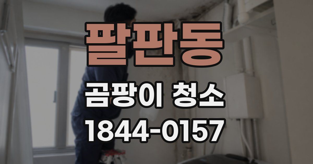 팔판동 곰팡이 청소