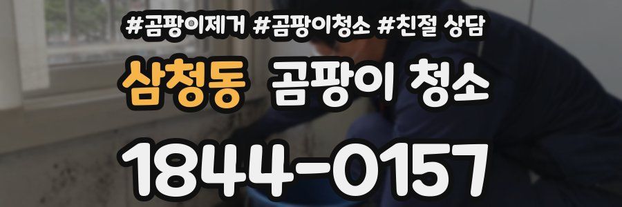 삼청동 곰팡이 청소