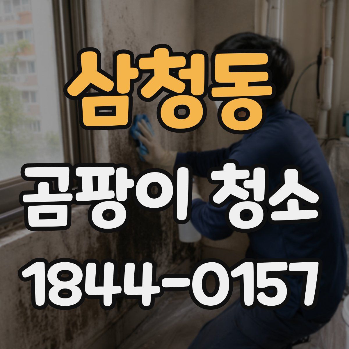 삼청동 곰팡이 청소