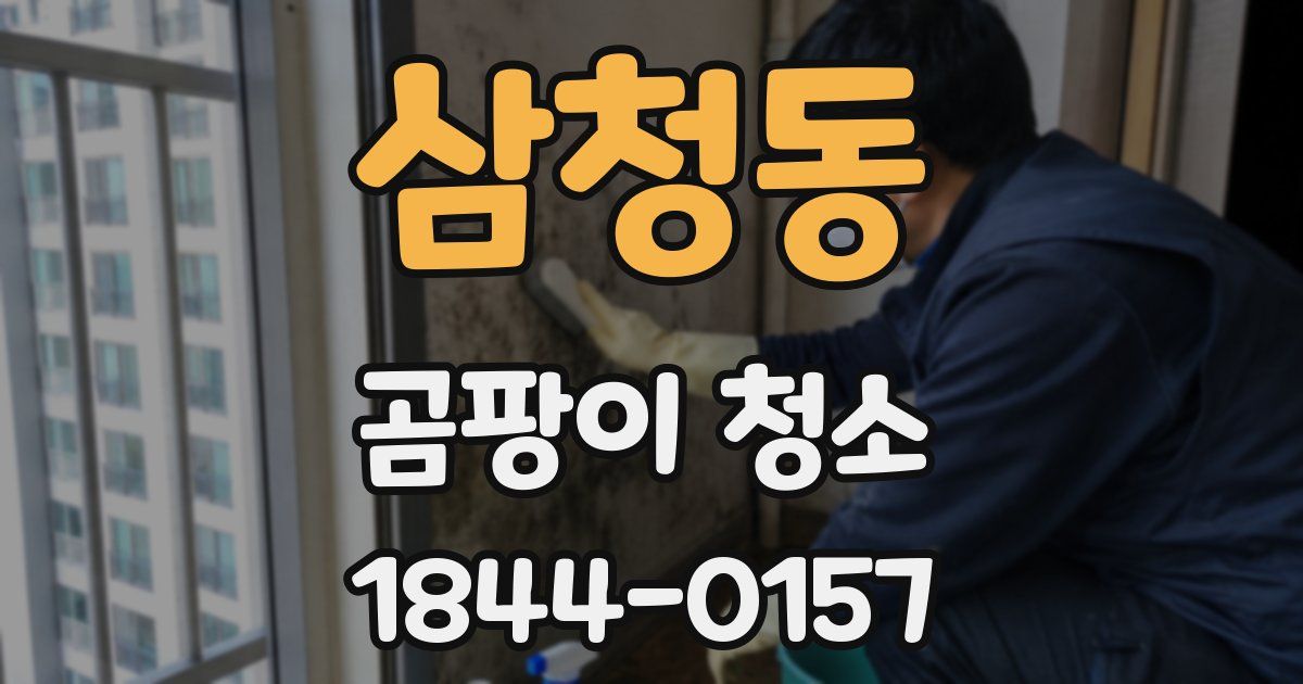 삼청동 곰팡이 청소