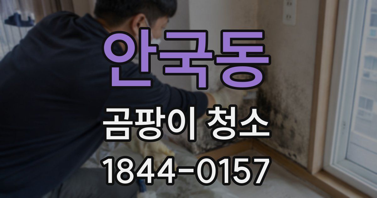 안국동 곰팡이 청소