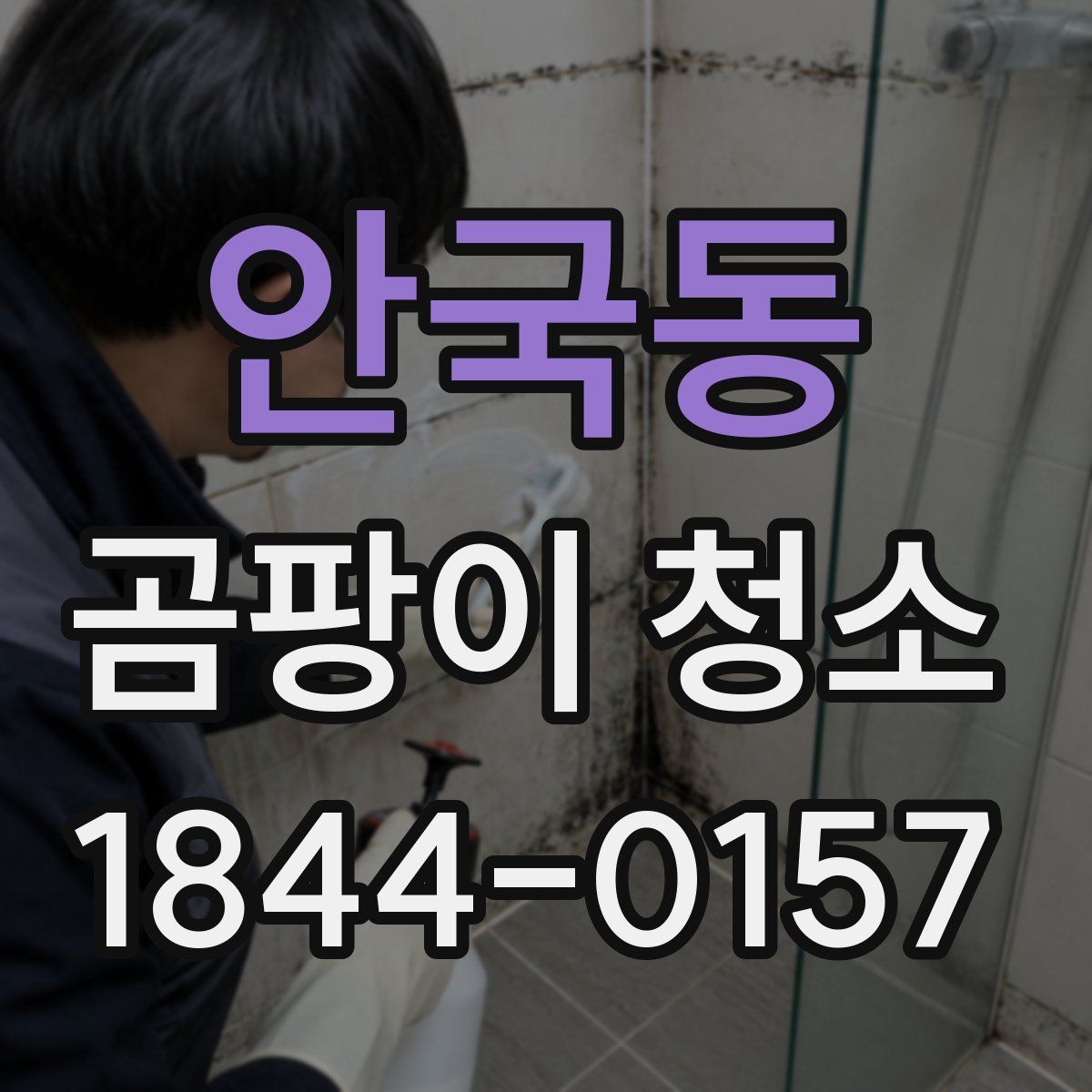 안국동 곰팡이 청소
