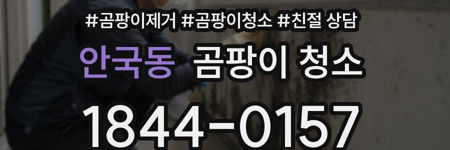 안국동 곰팡이 청소
