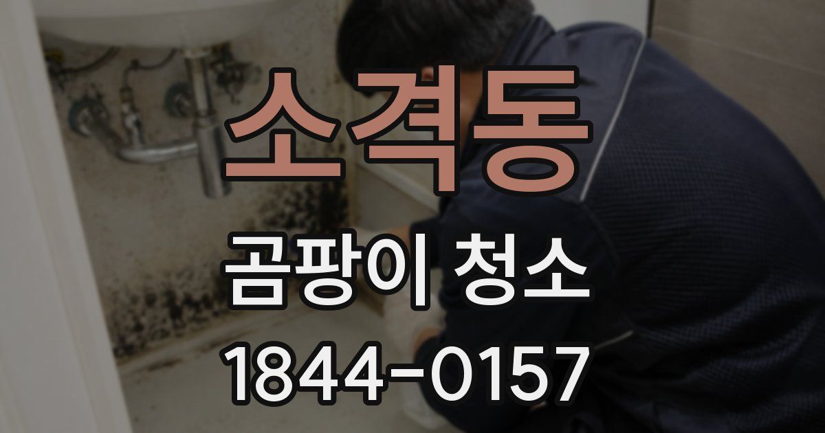 소격동 곰팡이 청소