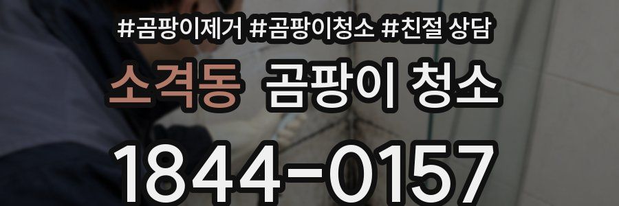 소격동 곰팡이 청소